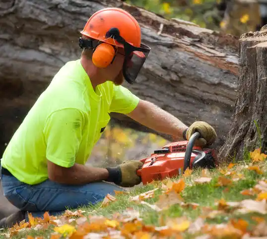 tree services Sebree